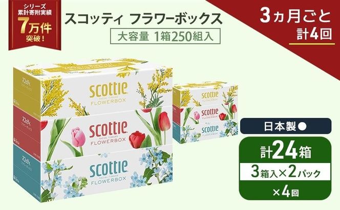 定期便 ティッシュ スコッティ フラワーボックス 3箱 × 2 パック《 3ヶ月ごと計 4回 》ティッシュセット