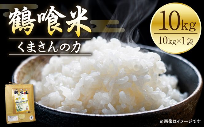 《令和7年産》 熊本県八代市産 鶴喰米 くまさんの力 精米 10kg 米 お米 精米 白米 ごはん ご飯 熊本