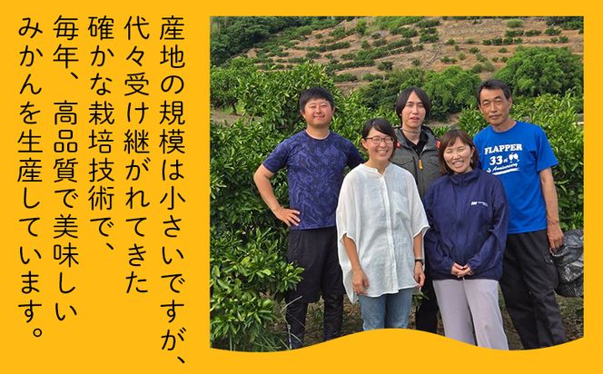 ぽんかん 山北ポンカン 家庭用 3kg(約18～30個程度) - 果物 フルーツ 柑橘類 ぽんかん ミカン 蜜柑 訳アリ わけあり 生産者応援 甘い おいしい 美味しい 山北みらい yk-0068