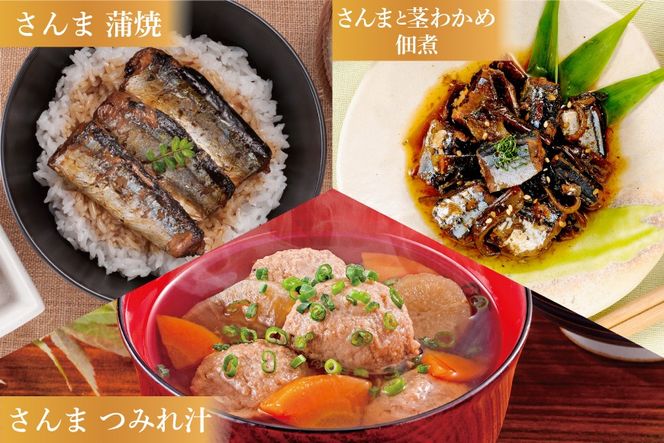 三陸食堂 煮魚 惣菜 セット 3種 9パック [阿部長商店 宮城県 気仙沼市 20565440] 簡単調理 レトルト 魚 レンジ 長期保存 魚料理 和食 常温保存 さんま 蒲焼 つみれ汁 和食 常温保存 個包装