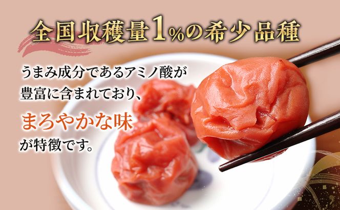 梅干し 650g 若狭のすっぱい梅干し 紅映梅 うめ ウメ 梅 酸っぱい梅干し 昔ながらの梅干し 昔ながら うめぼし ご飯のお供 ごはんのお供 おにぎりの具 福井 福井県 若狭町