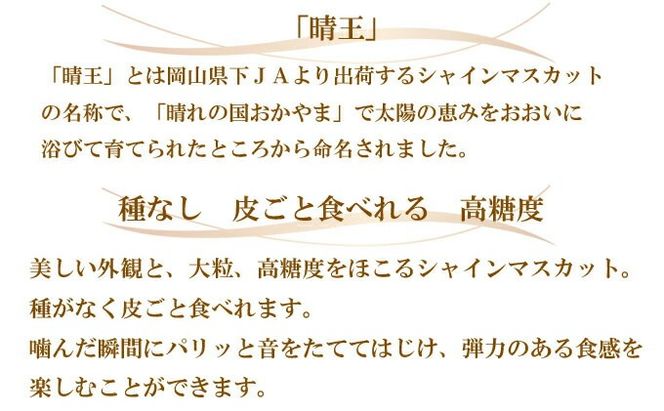 ぶどう 2026年 先行予約 ご家庭用 シャイン マスカット 晴王 約500g×2房 ブドウ 葡萄 岡山県産 国産 フルーツ 果物 岡山のぶどう 旬のフルーツ 旬の果物 大粒 種無し