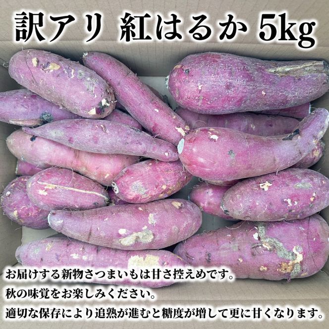 【数量限定】訳アリ 茨城県産紅はるか 約5kg｜さつまいも 芋 サツマイモ 紅はるか 訳あり わけあり 茨城県 取手市（AS003-1）