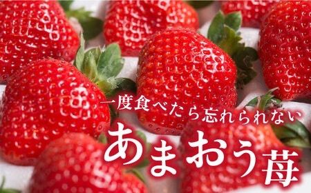 【全2回定期便】【2023年12月上旬より発送】糸島産 あまおう ギフト 箱 毎月600g ( 24-30粒 )糸島市 / 南国フルーツ株式会社 [AIK028]