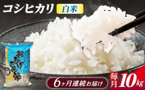 【6回定期便】コシヒカリ 白米 10kg×6か月 / 脇野コンバイン[AECP028]