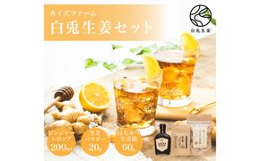 白兎生姜セット しょうが ショウガ 生姜 ジンジャー シロップ 生姜飴 生姜パウダー ふるさと納税 鳥取県 鳥取市 おすすめ カイズファーム ギフト 312011_FW002