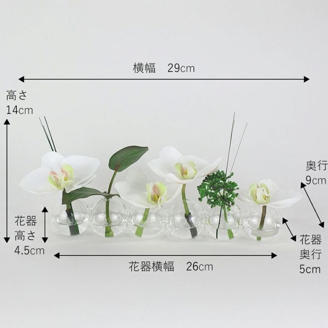 アートフラワー エミリオ・ロバ ファレノプシス6W TTNTA-03150