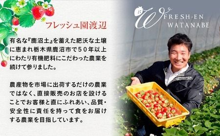 【訳あり】いちご とちあいか不揃い粒 2kg×3箱 計6kg ※2027年5月～発送