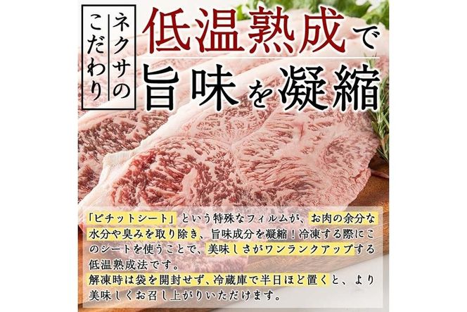 おおいた和牛 サーロインステーキ (計800g・サーロインステーキ約200g×4枚+ステーキソース20g×4袋) 国産 牛肉 肉 霜降り 低温熟成 ステーキ A4 和牛 ブランド牛 BBQ 冷凍 大分県 佐伯市【DH63】【(株)ネクサ】