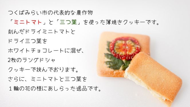ふるさとの恵みのラングドシャ 8枚入り ラングドシャ ホワイトチョコレート 薄焼き クッキー ミニトマト 三つ葉 焼菓子 焼き菓子 クッキー スイーツ 洋菓子 小袋 プレゼント ギフト 贈り物 手土産
