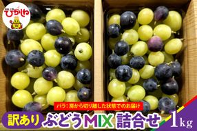 【2026年産】ぶどうMIX詰め合わせ 訳ありバラ 約1kg 山形県 東根市 松栗提供 hi062-067