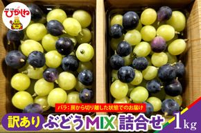 【2026年産】ぶどうMIX詰め合わせ 訳ありバラ 約1kg 山形県 東根市 松栗提供 hi062-067