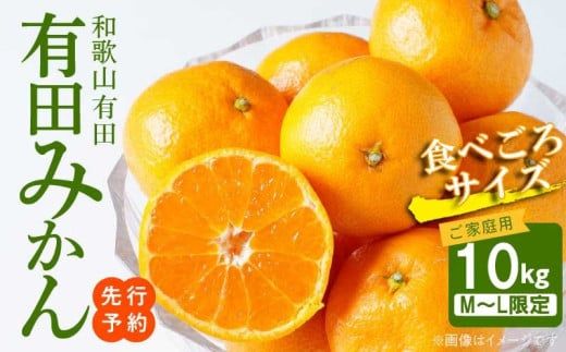 AT6310_【2026年先行予約】ご家庭用　有田みかん 約10kg (M、Lサイズ)【湯浅町】