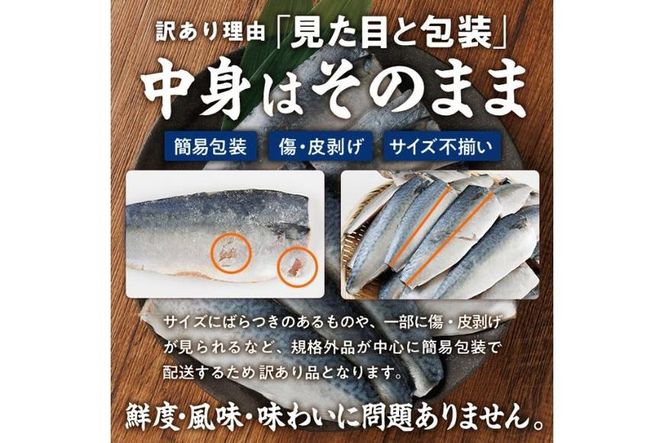 ＜訳あり・不揃い＞ 塩さば フィーレ (計2kg・1kg×2袋)サバ 鯖 切り身 フィレ 有塩 国産 パラパラ冷凍 小分け 便利 簡単【HX003】【山田水産】