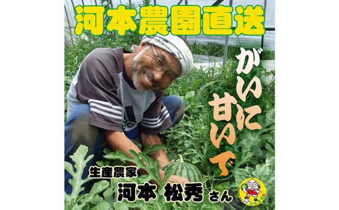 【先行予約】黒皮小玉スイカ 鳥取県北栄町産 農家指定（こちらの返礼品は、大栄西瓜ではありません） 313726_CK007