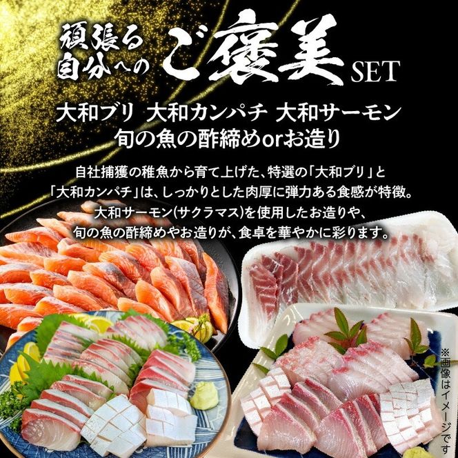 【6ヶ月定期便】頑張る自分へのご褒美セット N072-YG0231