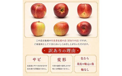 FYN6-431 《2026年先行予約》ご家庭用 山形県産 サンふじりんご 3kg 2026年11月下旬から順次発送 林檎 リンゴ 秋果実 冬果実 果物 くだもの フルーツ 訳あり 農業者 農家 支援 自宅 家庭 産地直送 山形県 西川町 月山