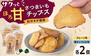 入江農園 さつまいもチップス（プレーン味・塩キャラメル味 各2個）4個入り 糸島市 / いとのKIKORI[AFR004]
