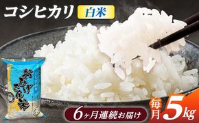 【6回定期便】コシヒカリ 白米 5kg×6か月 / 脇野コンバイン[AECP025]