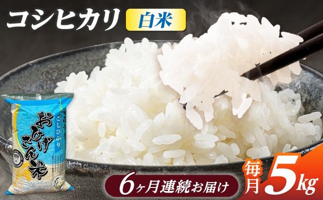 【6回定期便】コシヒカリ 白米 5kg×6か月 / 脇野コンバイン[AECP025]