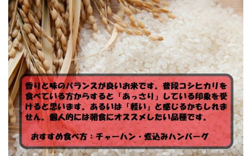 令和7年産 茨城あきたこまち 10kg 5kg×2袋 あきたこまち 白米 精米 ごはん お米 国産 茨城県産 守谷市 送料無料