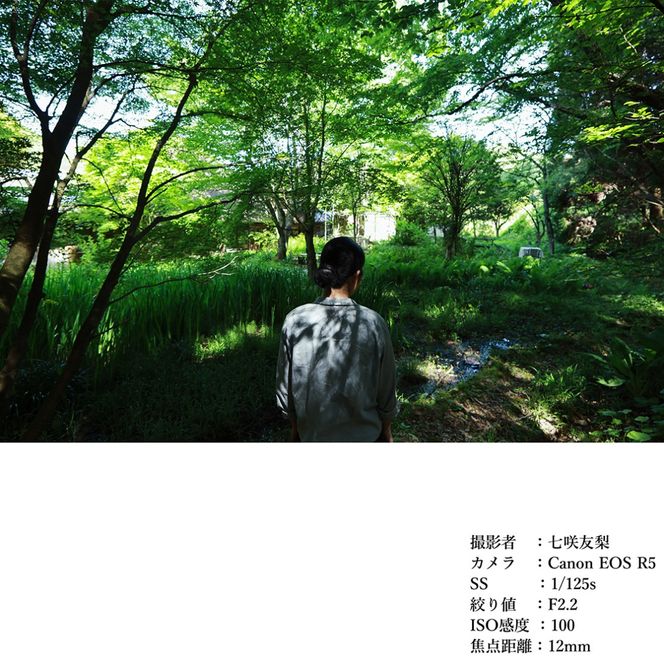 SIGMA 12mm F1.4 DC | Contemporary【ソニーＥマウント】