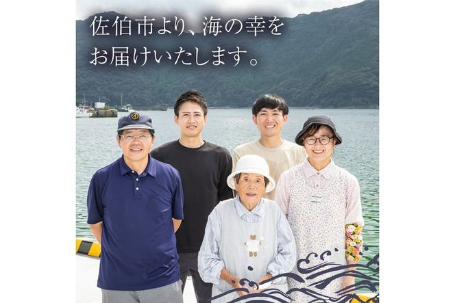 ＜訳あり・業務用＞あじの生みりん干し (計約2kg・約40尾) 干物 ひもの 鯵 アジ お酒のおつまみ 大分県 佐伯市 【GH003】【増野善雄商店】