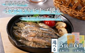＜選べる＞ まるごとキビナゴ便り～オリーブ仕立て三彩～ 3個 or 6個 セット　K032-003