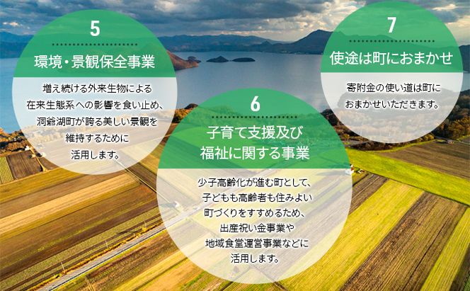 洞爺湖町 寄附のみの応援受付 1,000円コース（返礼品なし 寄附のみ 1000円） 支援 自治体支援 お礼の品なし 北海道 洞爺湖町の発展 ふるさと応援 ふるさと支援 