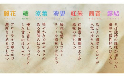 【 数量限定 】田舎はちみつ スティック 7種 セット [ ハニースティック ST7 ]（ 茨城県共通返礼品： 五霞町 ） 季節で移ろう 生ハチミツ 蜂蜜 非加熱 茨城県産 国産 天然 純粋 贈答用 小分け 使い切り [EG008us]