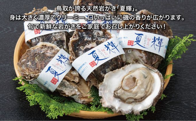 鳥取県産 岩がき「夏輝」【中村商店】 312011_AC016