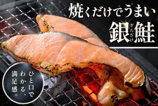 塩銀鮭切身 3.0kg (1.5kg×2箱)【MT0002TZ0】