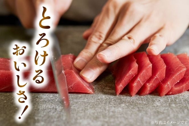 本マグロ・メバチセット [川印　村田漁業 宮城県 気仙沼市 20563739] 魚 海鮮 魚介 まぐろ 鮪 メバチマグロ 刺身 本マグロ