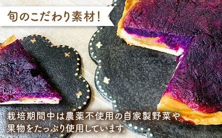 身体にやさしい 季節 の タルト 《糸島》【天然パン工房楽楽】【いとしまごころ】[AVC047] タルト 国産小麦 焼き菓子 お菓子 おかし スイーツ