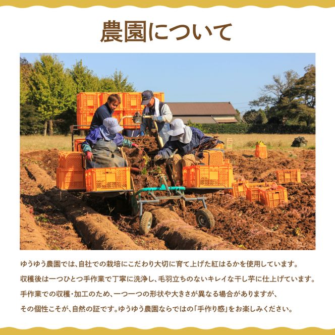 AO001　山田のややこ -おいものこ- ほしいもセット 300g