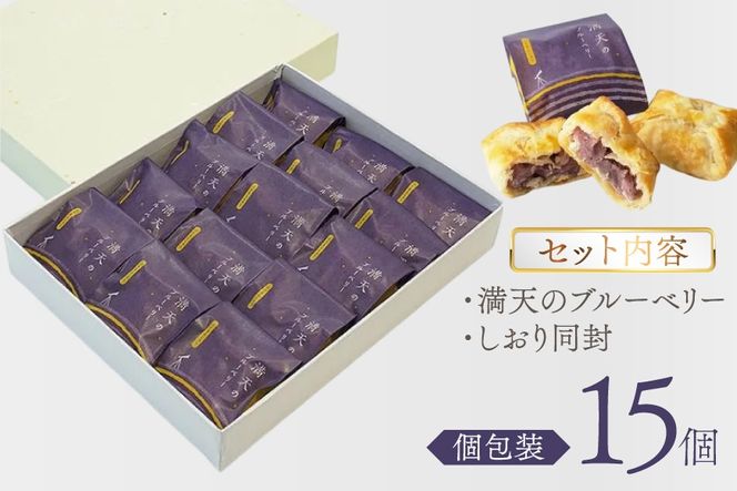 お菓子 個包装 満天のブルーベリー 15個入 [谷口製菓 石川県 宝達志水町 38601294] 菓子 焼菓子 菓子折り 和菓子 パイ スイーツ おかし おやつ 常温 ブルーベリー