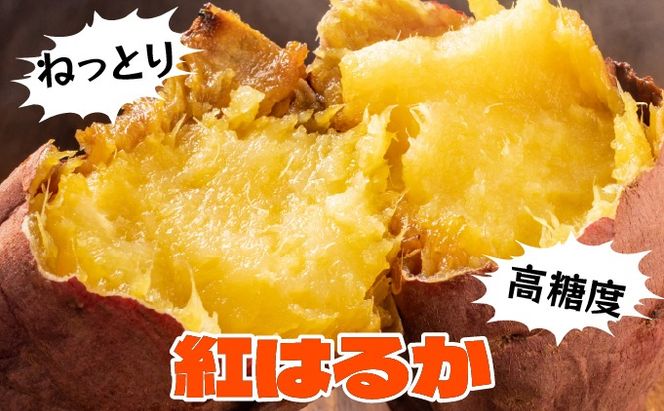 焼き芋 冷凍ヤバ芋 500g×5 計2.5kg やきいも 芋 サツマイモ 紅はるか おやつ スイーツ 甘い 伊達市