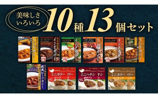 【 定期便 全3回 隔月 お届け 】 新宿 中村屋 レトルト カリー 食べ比べ セット 10種 13個入 人気 詰合せ 洋食 時短 カレー インドカレー ビーフ キーマ チキン バター チキン ハヤシ ベジタブル 野菜 長期保存 災害用 保存食 レンチン レンジ 