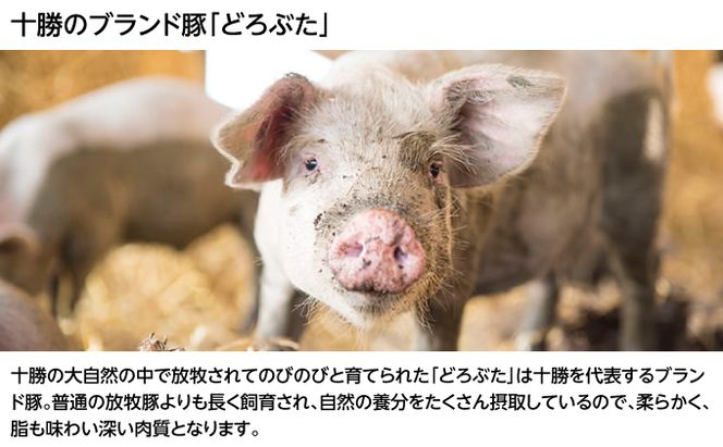 北海道十勝のメンチカツとコロッケ2種 70g×6個（どろぶたメンチカツ・黒毛和牛コロッケ）各3個［木川商店］【 加工品 惣菜 冷凍 お肉 豚肉 牛肉 レンジ お手軽 簡単 北海道 十勝 幕別  】 