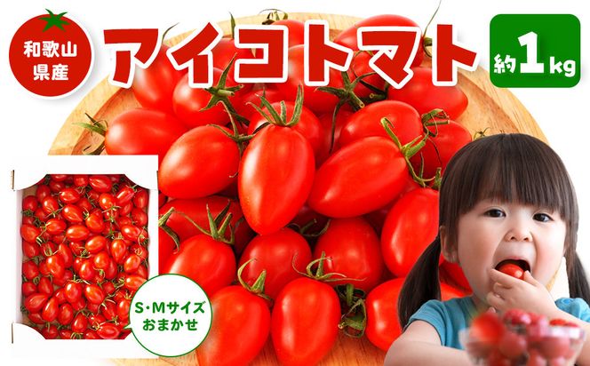 ［2026年5月出荷分］和歌山産ミニトマト「アイコトマト」約1kg（S・Mサイズおまかせ）［TM232］ 303446_XH92279VC05
