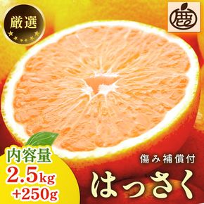 ＜1月より発送＞厳選 はっさく2.5kg+250g（傷み補償分） ｜ 八朔みかん ◇