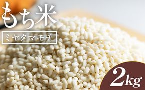 もち米 2kg - ミヤタマモチ 国産 餅 モチ  もちもち おもち おこわ おはぎ ぼたもち お雑煮 赤飯 米 お米 アレンジ 調理 高知県 香南市 常温 at-0069