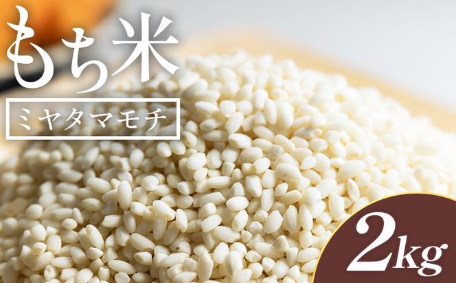 もち米 2kg - ミヤタマモチ 国産 餅 モチ  もちもち おもち おこわ おはぎ ぼたもち お雑煮 赤飯 米 お米 アレンジ 調理 高知県 香南市 常温 at-0069