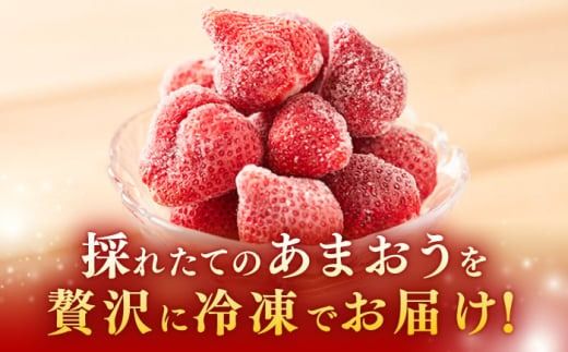【農家直送！】 冷凍あまおう 1kg（500g×2パック）いちご 苺 糸島市 / みのりのりん[ABD006]