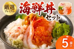 厳選！プレミアム海鮮丼セット 5個入 ( 海鮮丼 海鮮 イクラ ホタテ カニ ズワイガニ エビ 北海道 セット プレミアム 豪華 おつまみ 海の幸 )【094-0100】