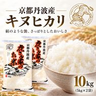 令和7年産 京都丹波産キヌヒカリ 10kg　米 ごはん きぬひかり