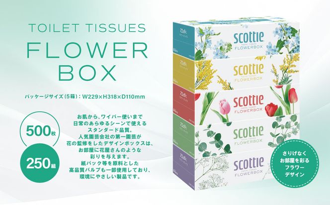【定期便2回】【3ヶ月に1回お届け】【スコッティ】 ティシュー フラワーボックス 250組 60箱 計120箱 ティッシュ 日用品 生活必需品 消耗品 紙 まとめ買い ストック 備蓄 防災備蓄 新生活 防災 生活用品 日用消耗品 箱ティッシュ