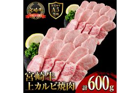 新鮮チルド便 宮崎牛 A5 上カルビ(計600g・300g×2P) 焼肉 カルビ 焼肉 和牛 BBQ アウトドア キャンプ 小分け パック 真空パック ブランド牛 ランク パーティー ご褒美 おかず【OT-02】【KNOT合同会社】