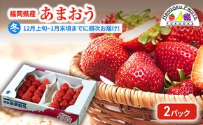 【冬】福岡産あまおう2パック いちご  苺 イチゴ フルーツ 果物 ※配送不可:離島