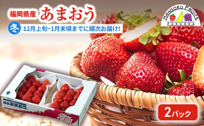 【冬】福岡産あまおう2パック いちご  苺 イチゴ フルーツ 果物 ※配送不可:離島